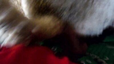 Mimi dog girl: hotren zoo porn xxx