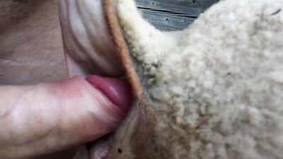 Art of zoo porno: dog husband porn