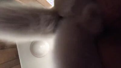 Zoo porno video: animal sex girls video