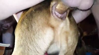 Teen zoo porn: porn stories dog transformation