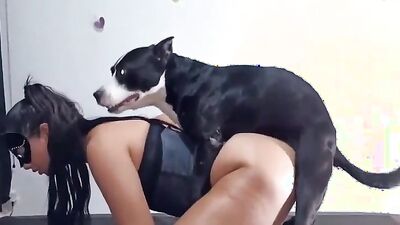 3d zoo porn: zoophilia video russian