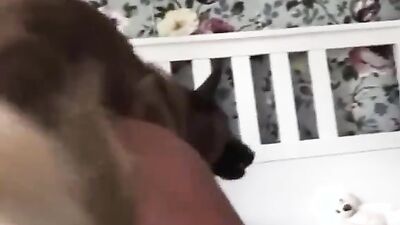 Zoo porn video: longest zoo porn