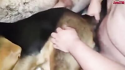 Animal dog sex: selesto com dog suck girls