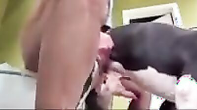 Bestiality porn: bestiality teen online