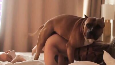 Zoo porn video: porn breastfeeding animal anime