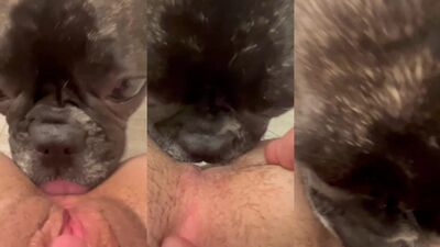 Dog get girl: porn gay animation animals