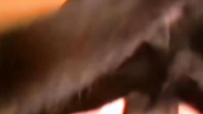Mimi dog porn: riding dog porn