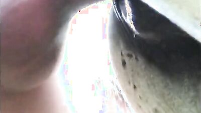 Dog fuck girls fucking: giselle animal porn