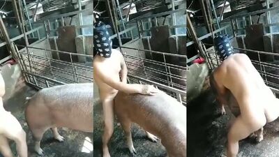 Animal sex: cam dog fuck girl