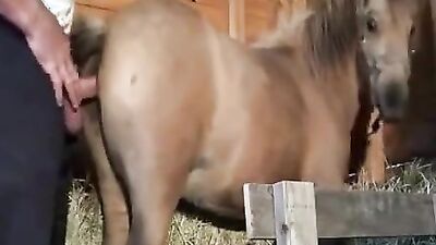 Animal porno: hình ảnh sex boy love anime animal