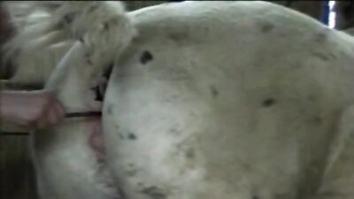 Zoo sex: ivana zoo porn
