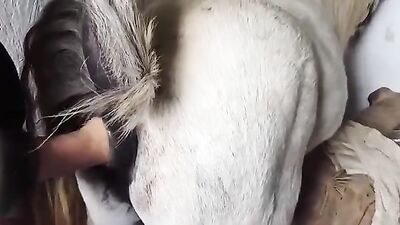 Zoo sex: skinny milf dog porn