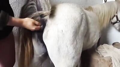 Zoo sex: skinny milf dog porn