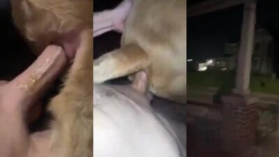 Best dog girl: sex mom dog bunker hm