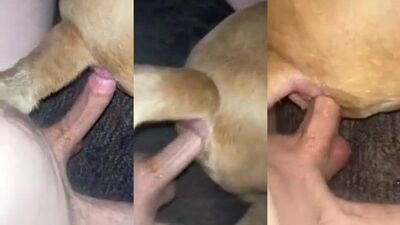 Dog get girl: eo dog toy sexy beach sex