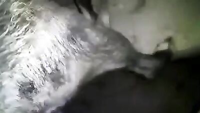 Animal sex video: perfect bitch animal sex online