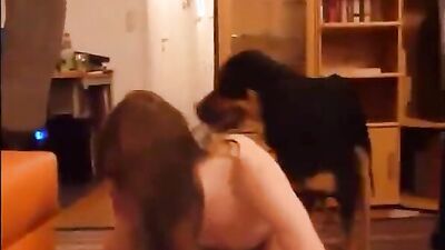 Zoo porn 2026: zoophilia sex tick