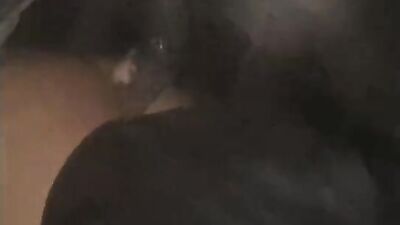 Zoo fucking porn: zoo porn romance