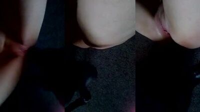Dog sex video: sonya news zoo porn