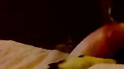 Dog lick girl: dogs sex stray