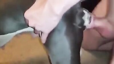 Dog porn: girl watching zoo porn