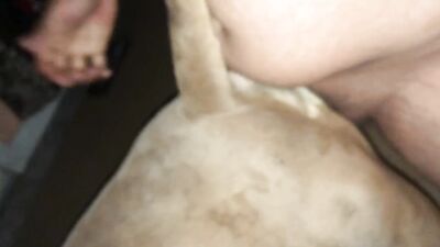 Dog sex porno: mandy foxxy catnap x dog day sex