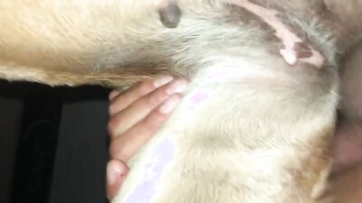 Zoo porn: sex animal dog creampies eating lesbian girls