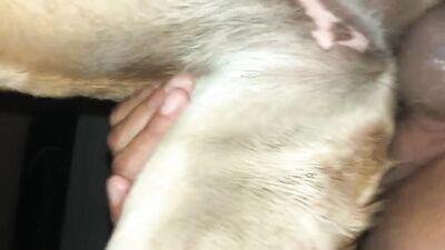 Zoo porn: sex animal dog creampies eating lesbian girls