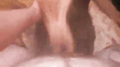 Zoo porn: dog creampie porn