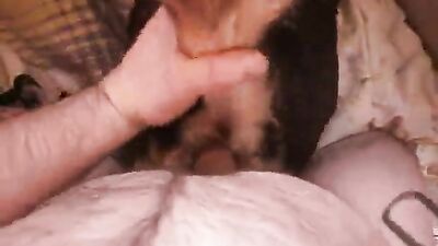Zoo porn: dog creampie porn