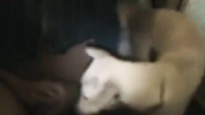 Boy girl dog: zoophilia porn girls