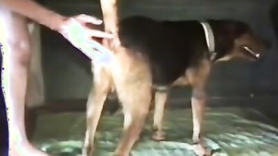 3d bestiality: xxx animals porno 2026