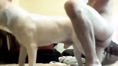 3d dog porn: alyson prod com animal porn