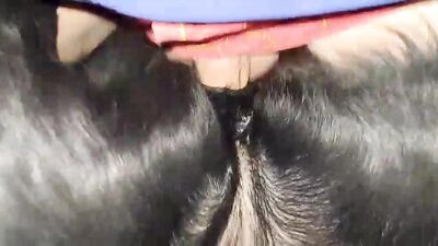 Girl cat dog: zoo sex home video