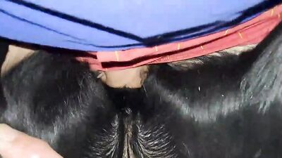 Girl cat dog: zoo sex home video