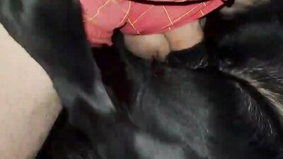 Girl cat dog: zoo sex home video