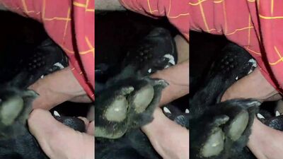 Dog girl play: free teen animals porno