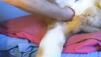 Dog sex girl: art of zoo anita