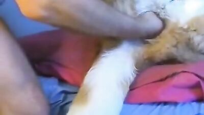 Dog sex girl: art of zoo anita