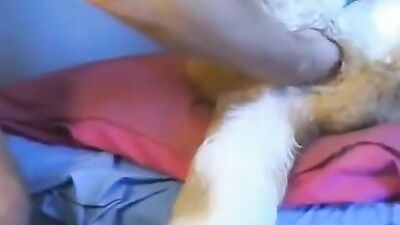 Dog sex girl: art of zoo anita