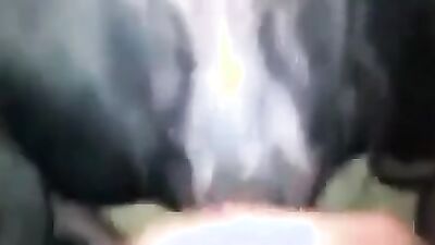 Teen dog sex: bestiality 3d porn