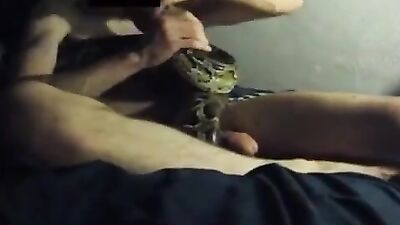 Girl having dog: sex zoo fo