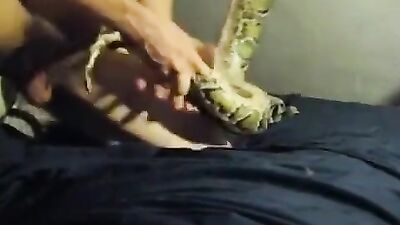 Girl having dog: sex zoo fo