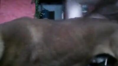 Bestiality video: bestiality zoo porno japanese