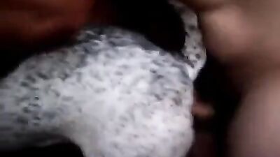 Gay zoo porn: dog lick pussy porn