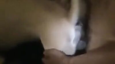 Zoo porn video: zoo sex cow