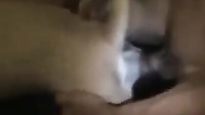 Zoo porn video: zoo sex cow