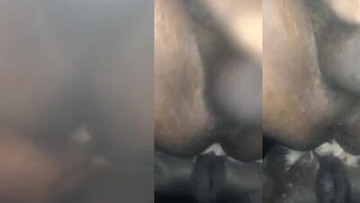 Zoo porn video: coco sex dog