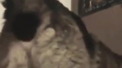 Art of zoo porno: small sexy girl animal dog porno video