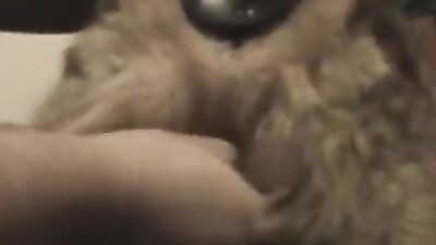 Art of zoo porno: small sexy girl animal dog porno video